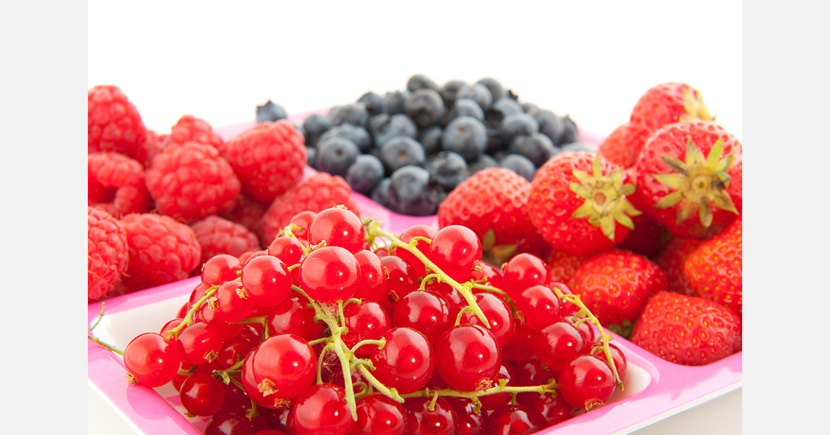 Moldova boosts berry production and consumption amid export growth