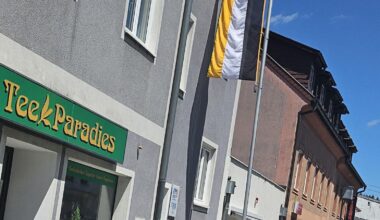 Bedeutung der Flagge vor dem Fpö Büro?