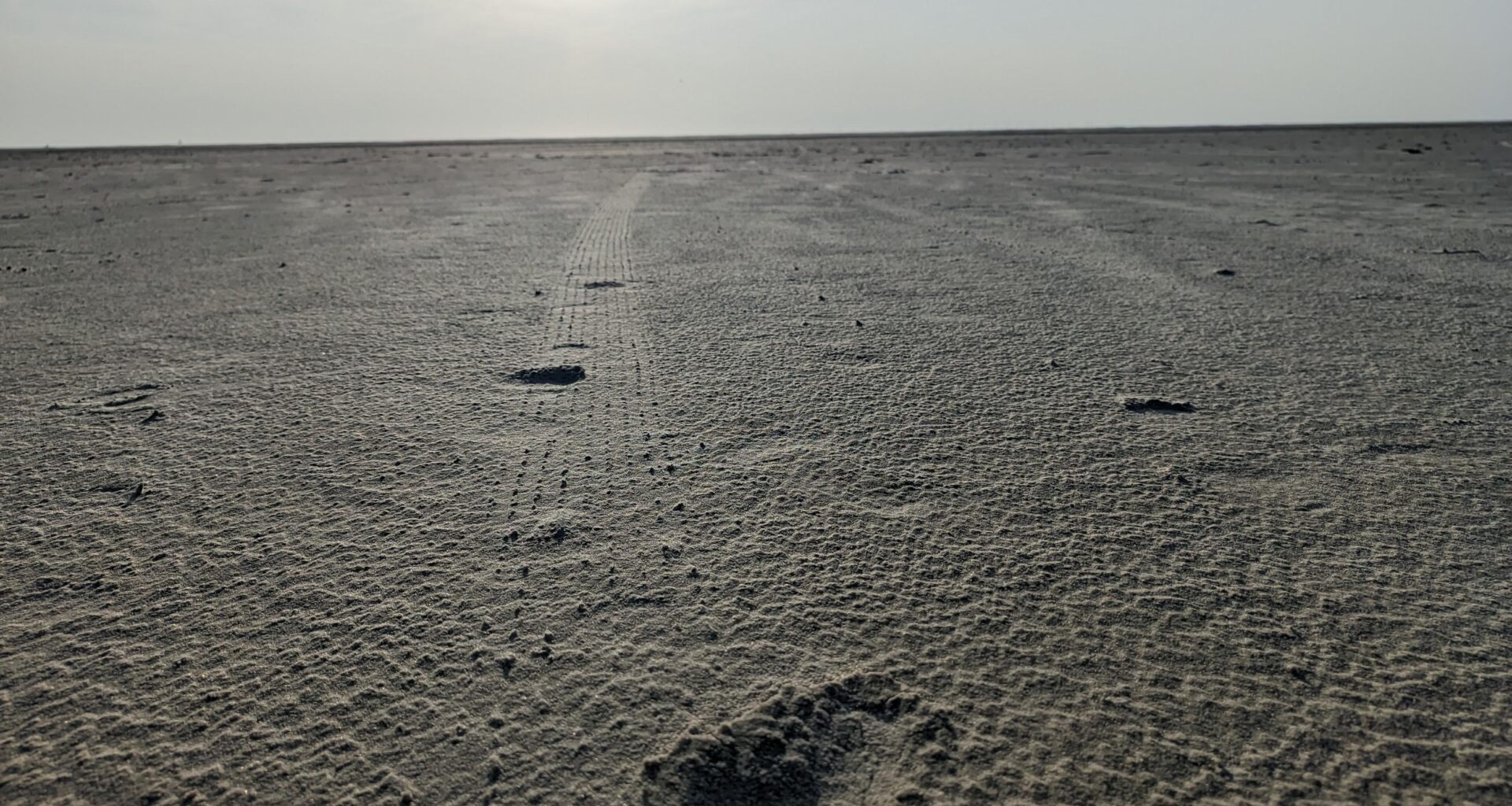 Ebbe an der Borkumer Nordseeküste