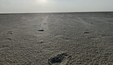 Ebbe an der Borkumer Nordseeküste