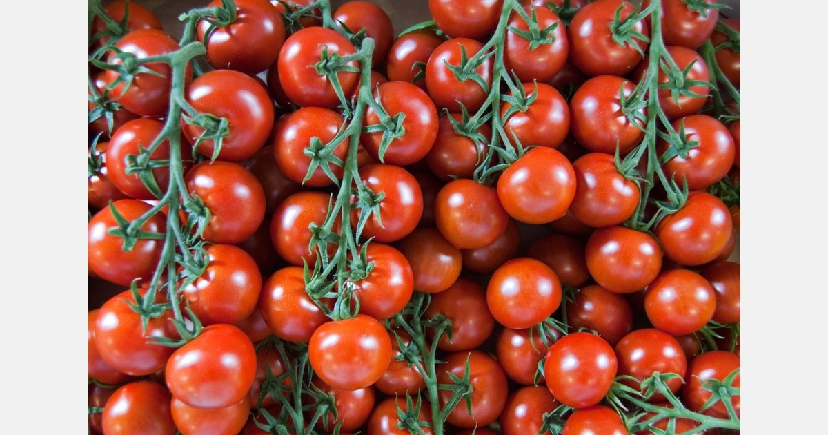 Prices skyrocket due to tomato shortage caused by virus outbreak, wet weather