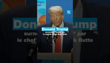 Donald Trump surnommé "daddy" par le chef de l'Otan Mark Rutte • FRANCE 24