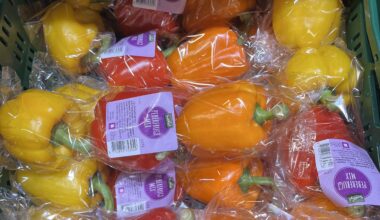 Stop hate på grøn peberfrugt! 🫑😤😭😖