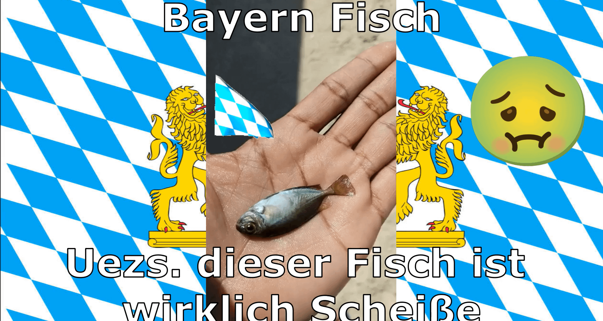 Bayernfisch vs Niedersachsenfisch