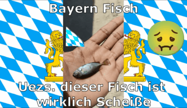 Bayernfisch vs Niedersachsenfisch