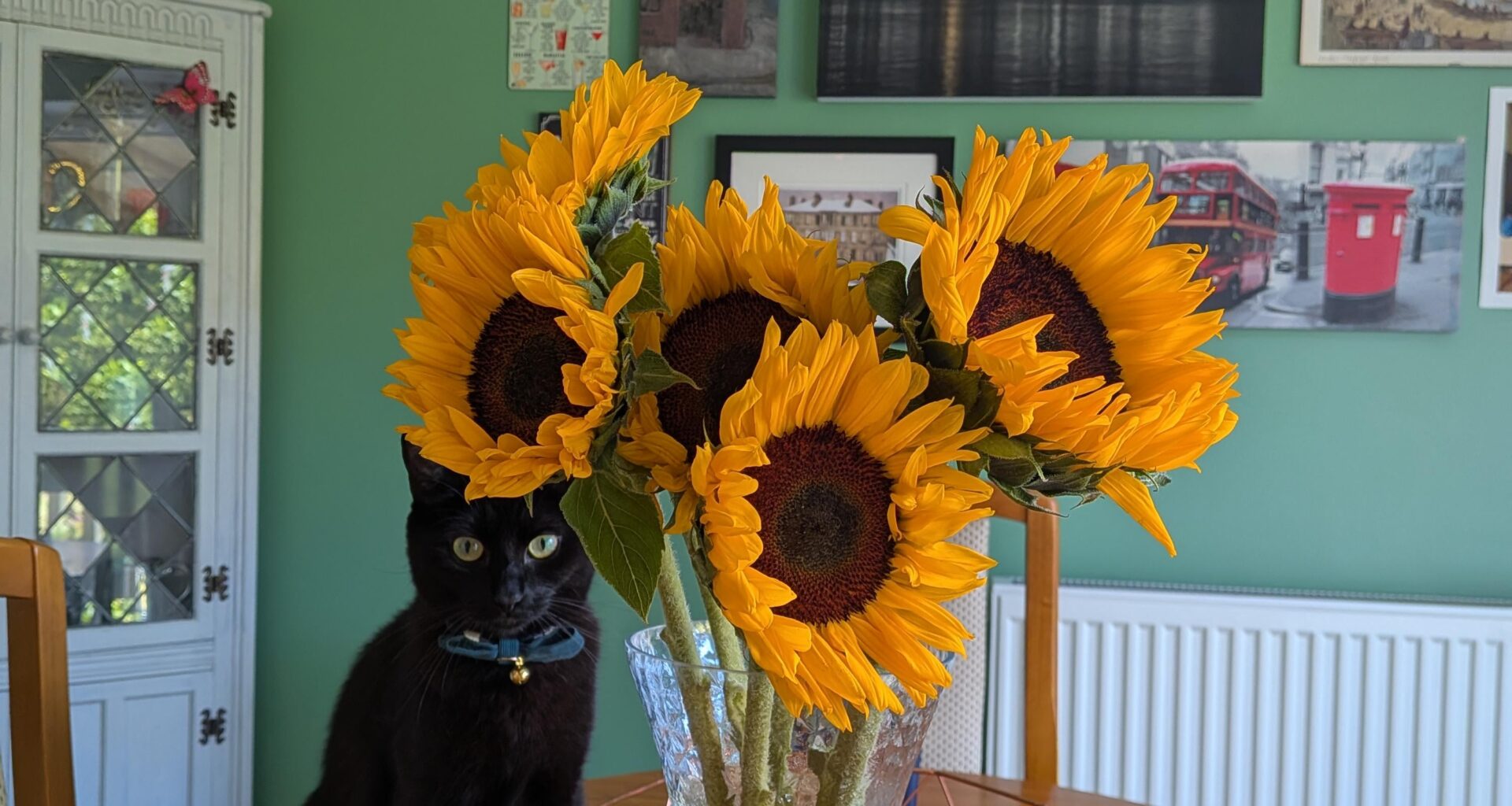 I bought myself sunflowers today. What did you do that made you smile?