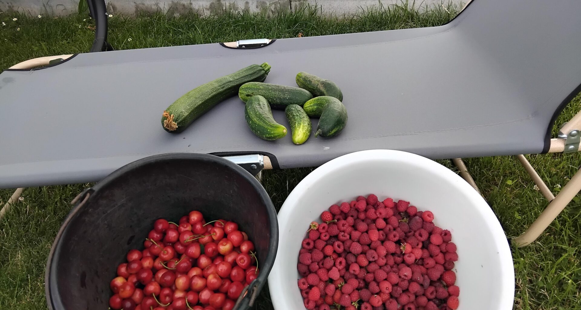 Die Erdbeeren sind leider fast alle abgeerntet, dafür stehen jetzt Glaskirschen, Himbeeren, Gartengurken und Zucchini parat.