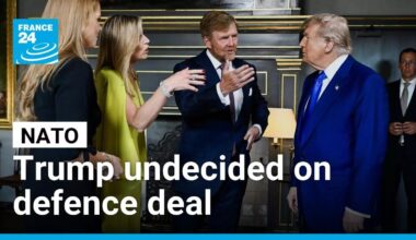 Trump uncommitted on joining NATO mutual defence agreement • FRANCE 24 English