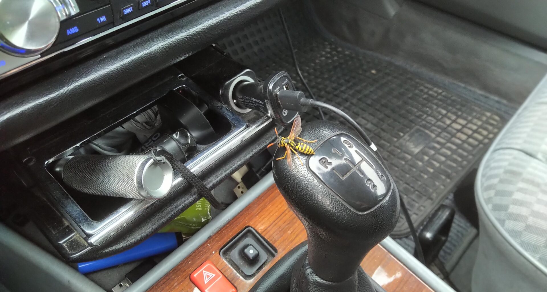 Wer hat mich hier an der Weiterfahrt gehindert?