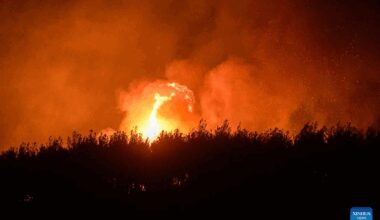Forest fire breaks out in Türkiye's western province of Izmir-Xinhua