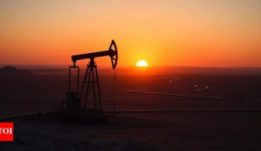 Crude oil price to slump? Prices set for biggest weekly drop since March 2023; supply risk premium from Israel-Iran conflict fades