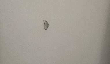 Is there a way to fix a small hole/dent in a drywall of house?