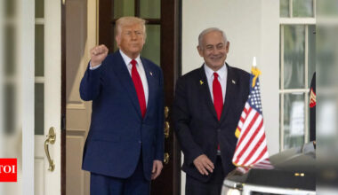 'Victory party': Netanyahu seeks White House meeting with Trump to 'celebrate' Iran war 'success'