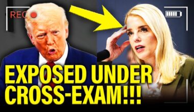 GOP Witnesses get EXPOSED under CROSS-EXAM at Hearing