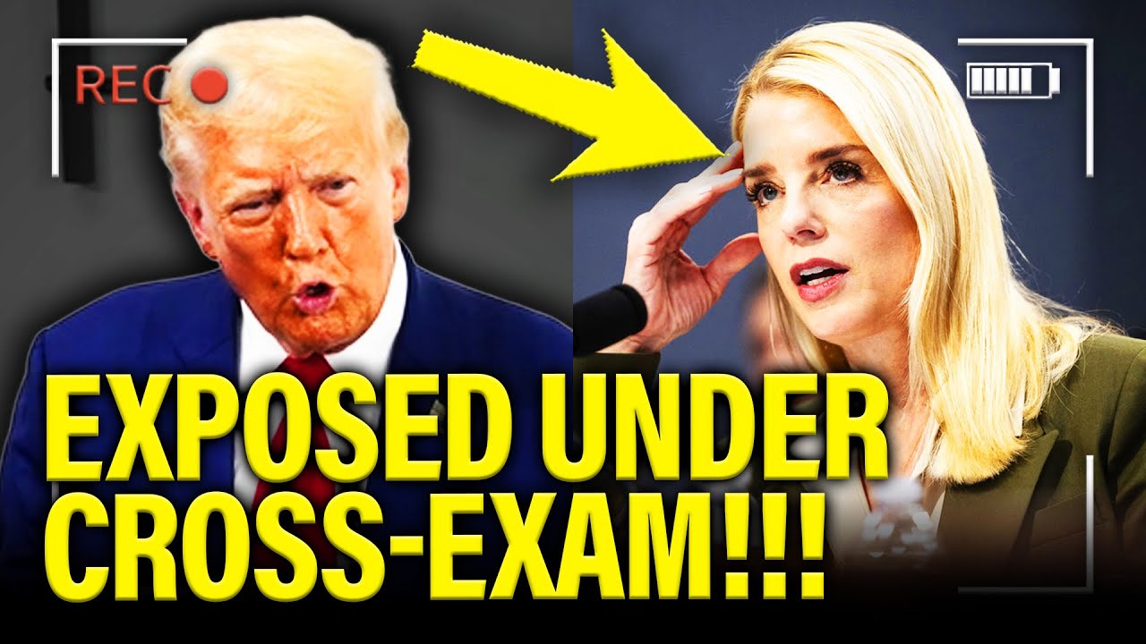 GOP Witnesses get EXPOSED under CROSS-EXAM at Hearing