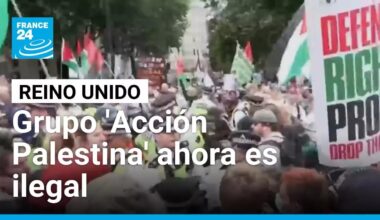 Reino Unido ilegaliza el grupo 'Acción Palestina' tras daños a aviones militares • FRANCE 24