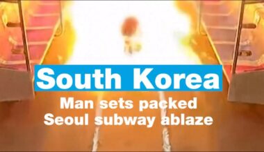 South Korea: Man sets packed Seoul subway ablaze • FRANCE 24 English