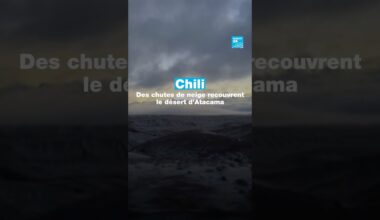 🇨🇱 Chili : de rares chutes de neige recouvrent le désert d'Atacama • FRANCE 24