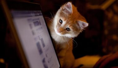 I talked to 5 AIs about my cat, Mr. Giggles - and it says a lot about the state of chatbots