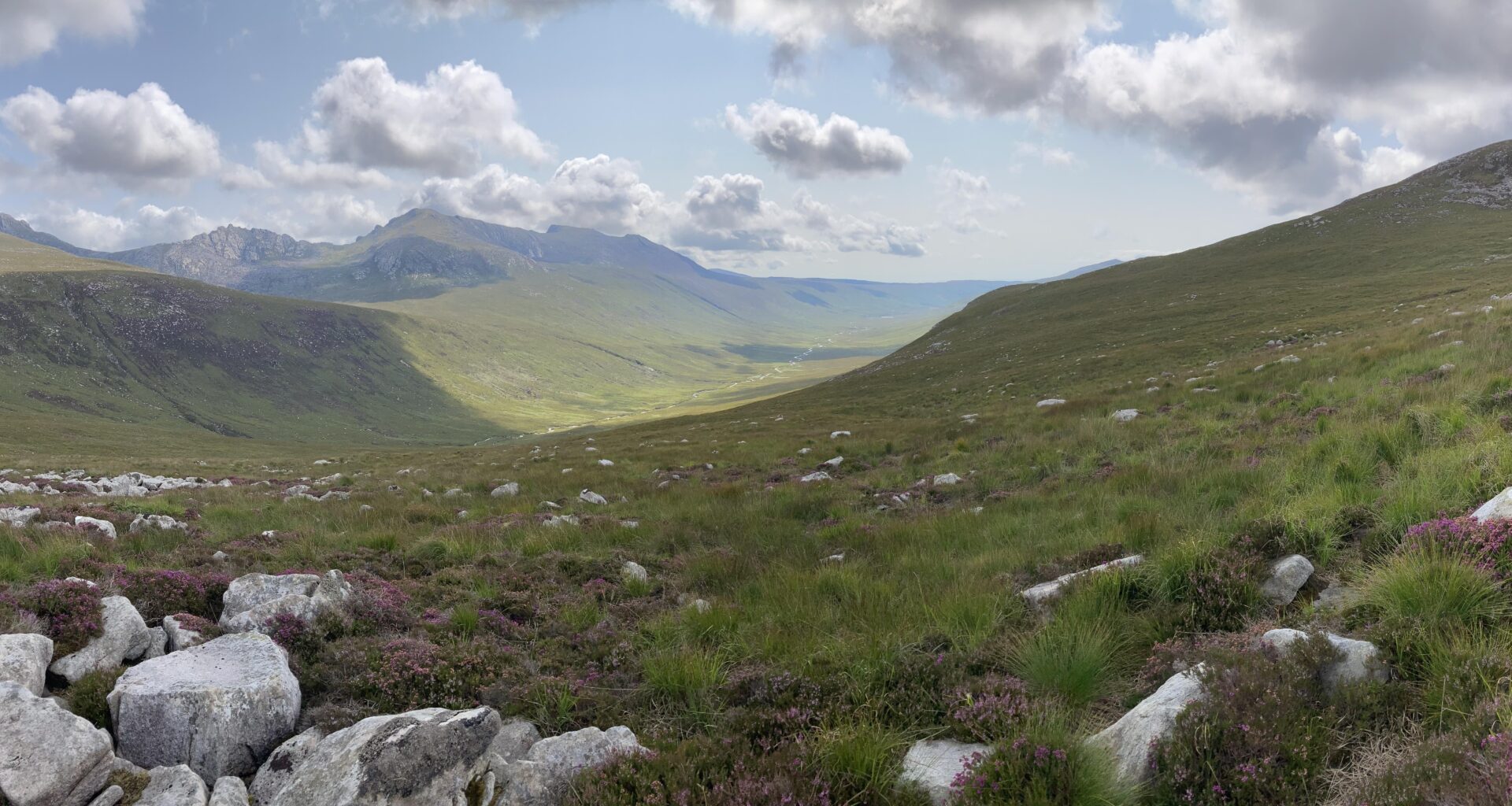 Some love for Arran.
