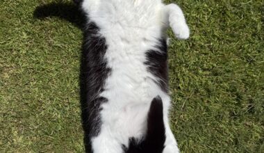 Enjoying that limited UK sun time