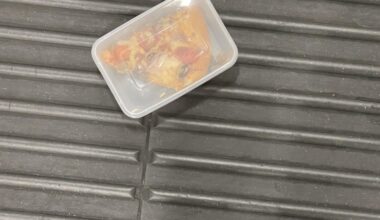 Free slice of pizza at Oxford Circus