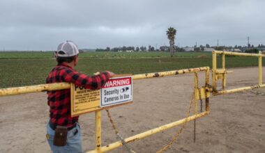 In California, protests grow against raids targeting undocumented farmworkers