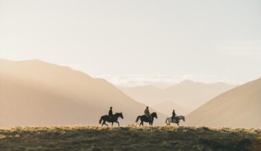 How A New Zealand Resort Is Pushing The Boundaries Of Sustainability