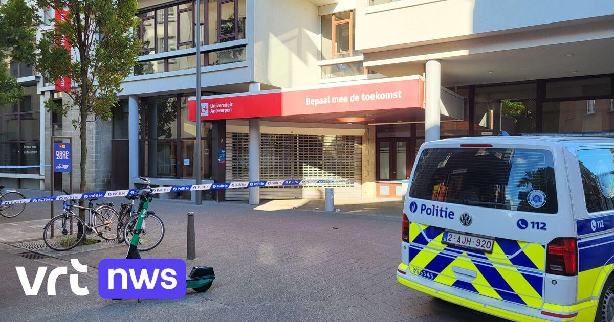 Vrouw (18) die man (37) neerstak omdat hij haar vriendin zou hebben lastiggevallen, is vrijgelaten onder voorwaarden | VRT NWS: nieuws