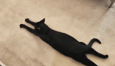 Raz thinks it's hot