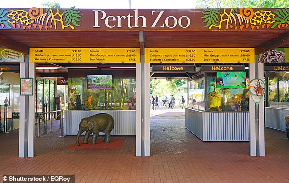 PERTH, AUSTRALIA -2 JUL 2019- View of the Perth Zoo, a zoological park in South Perth, Western Australia.; Shutterstock ID 1553300405; purchase_order: -; job: -; client: -; other: -