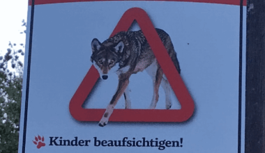 Wie würdet ihr mit solchen schildern umgehen?