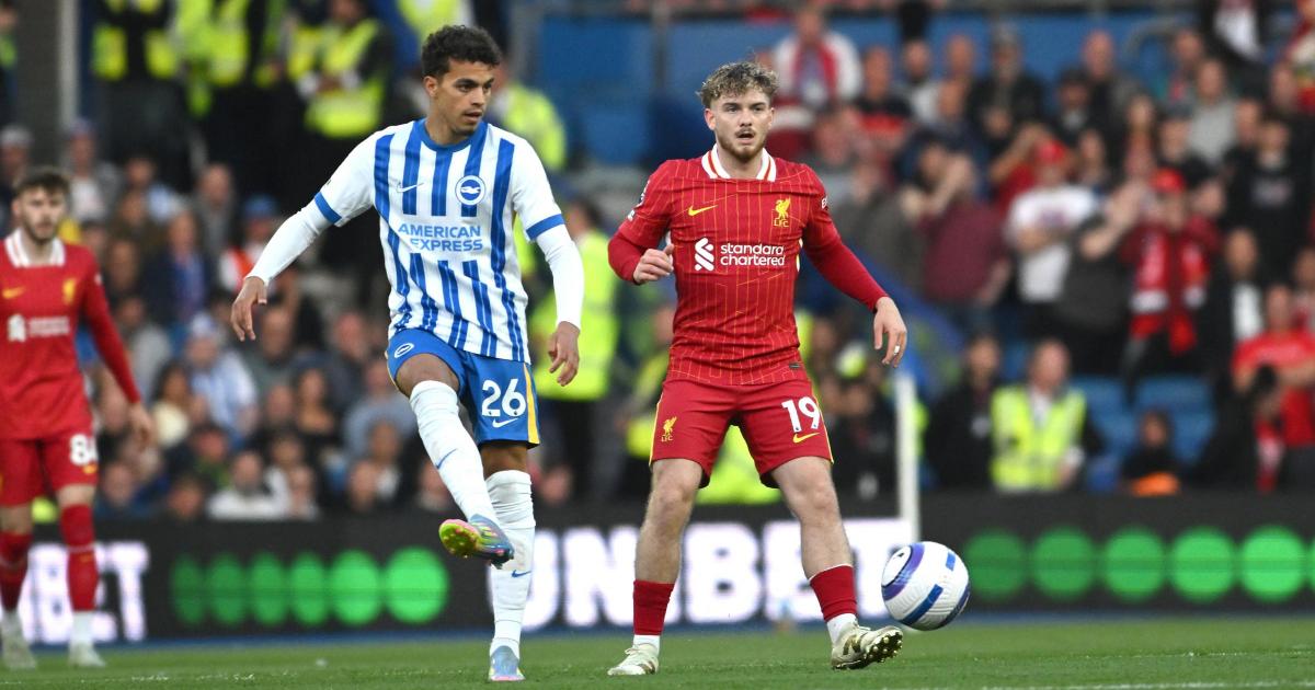 Brighton: Yasin Ayari extends his run of recent goalscoring