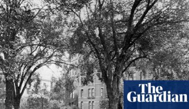 Harvard hired a researcher to uncover its ties to slavery. He says the results cost him his job: ‘We found too many slaves’ | Harvard University