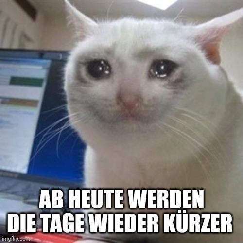Ich☀️iel