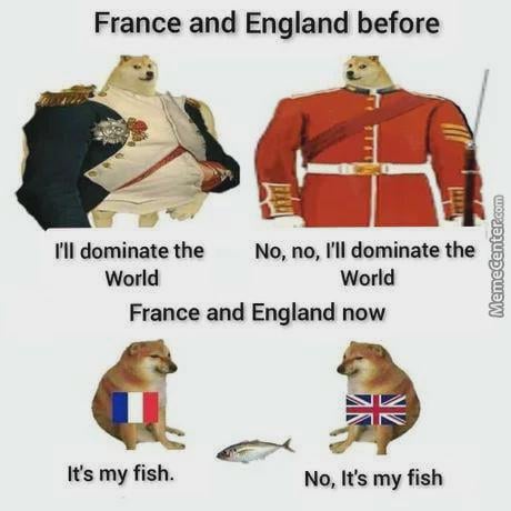 I think they will find it is our fish