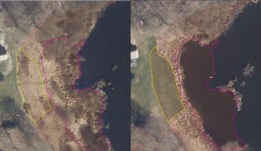 Ægtepar blev dømt for at ødelægge beskyttet natur – nu skal de fjerne græsplæne og jord