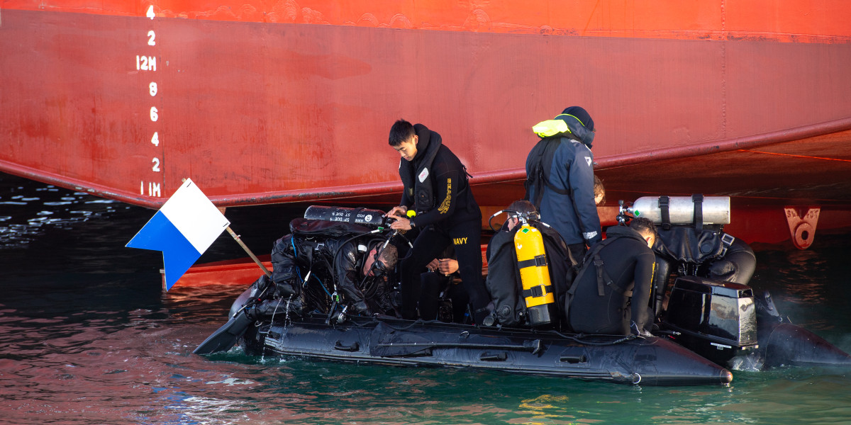 Navy teams back Customs in drug busts