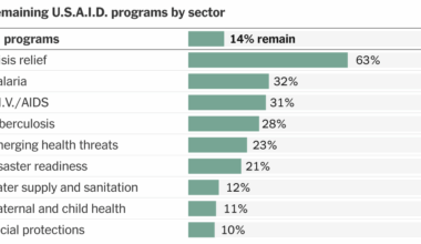 What Remains of U.S.A.I.D. After DOGE’s Budget Cuts?