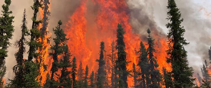 Fires