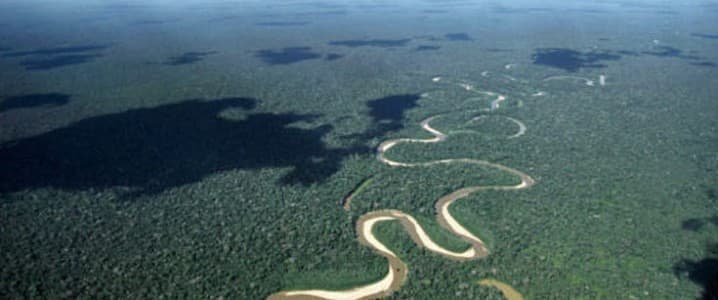 Amazon rainforest
