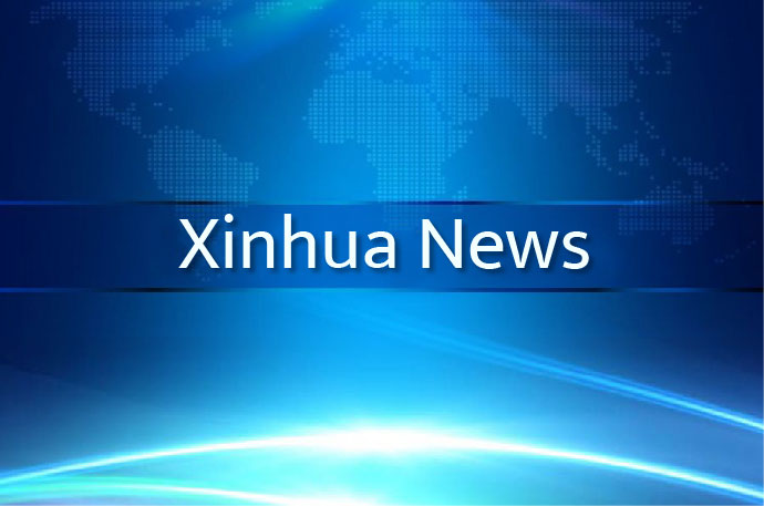 China's top diplomat meets Japanese trade association president-Xinhua