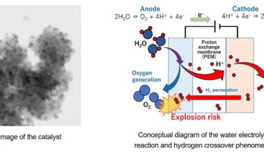 TANAKA PRECIOUS METAL TECHNOLOGIES Receives 2025 Technology Award from Catalyst Manufacturers Association, Japan, for Development and Practical Application of Electrode Catalysts for PEM Water Electrolysis