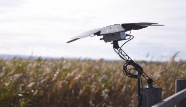 Smart tech aids bird conservation in Austria's national park-Xinhua