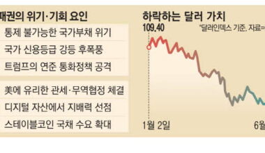 사진설명