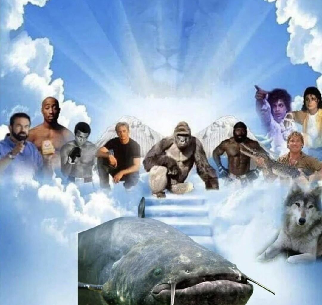 R.I.P an die Legenden