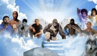 R.I.P an die Legenden