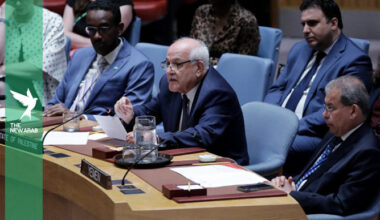 Anger as US blocks Gaza ceasefire resolution at Security Council