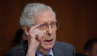 Mitch McConnell Throws Shade at J.D. Vance and Trump’s Merry Band of “Rabid Isolationists”