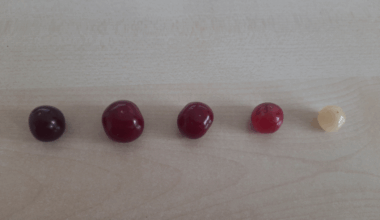 Mal andere Kirschen